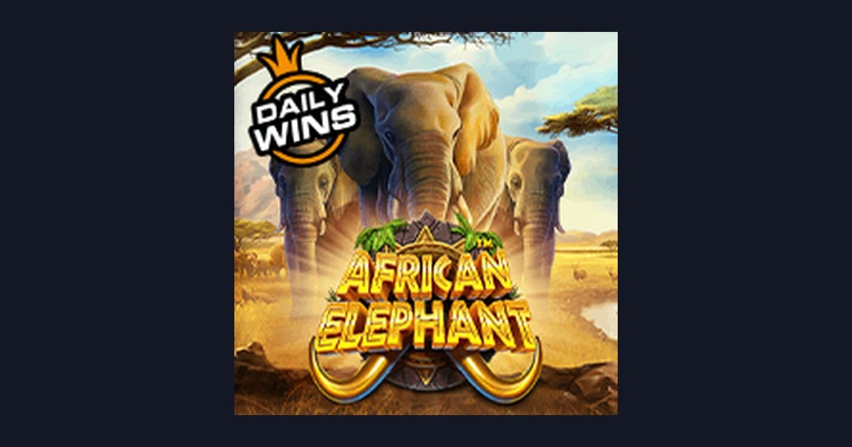 Rahasia Menang Slot African Elephant: Tips Untuk Pemula yang Efektif